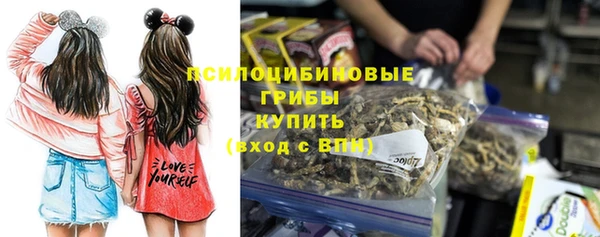 хмурый Нягань