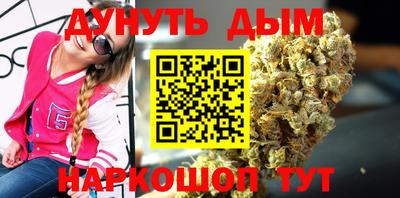 сатива Гатчина