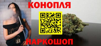 сатива Гатчина