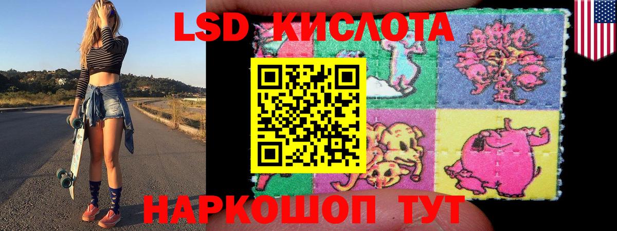 хочу наркоту  Вход с VPN  Марки N-bome  Россия  Наркотические марки 1,8мг 
