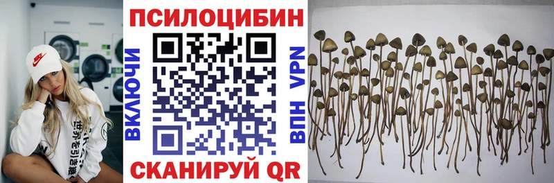 Псилоцибиновые грибы ЛСД  цена   ОМГ ОМГ ССЫЛКА  Ульяновск 
