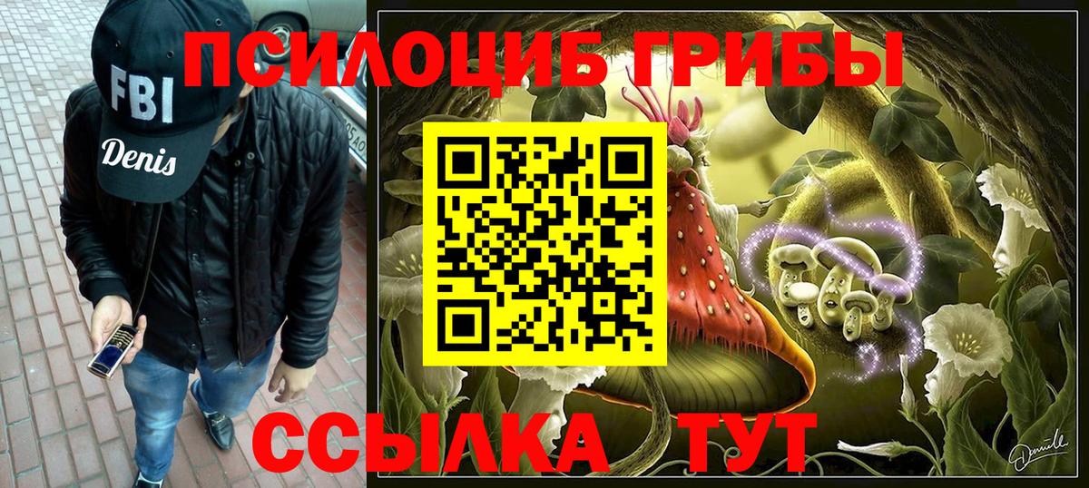 Россия  Галлюциногенные грибы мухоморы  Вход с VPN 