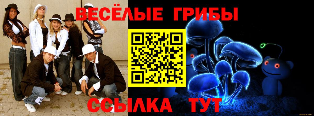 Псилоцибиновые грибы Psilocybe Россия