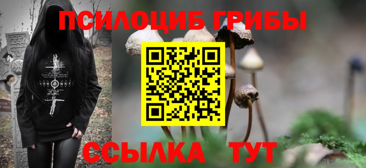 Псилоцибиновые грибы GOLDEN TEACHER Россия