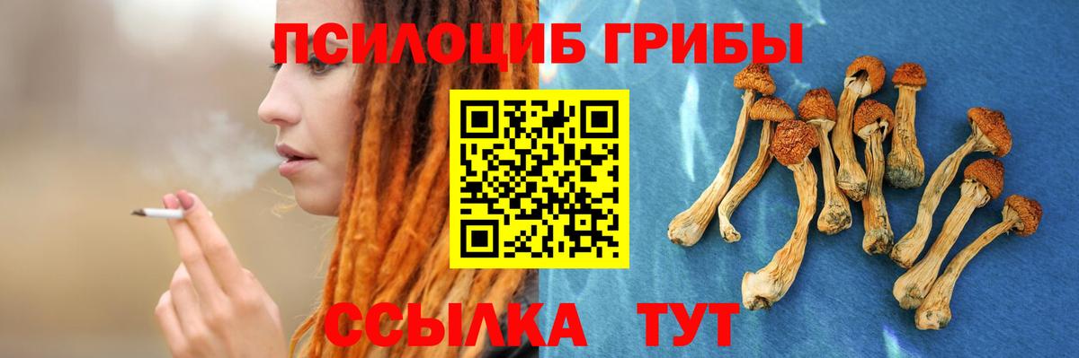 Псилоцибиновые грибы GOLDEN TEACHER  Вход с VPN  где продают наркотики  Россия  Галлюциногенные грибы мицелий 
