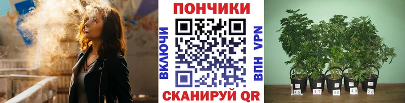 Шишки марихуана гибрид  где купить наркоту  блэк спрут вход  Ульяновск 